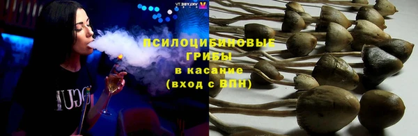 спайс Пролетарск